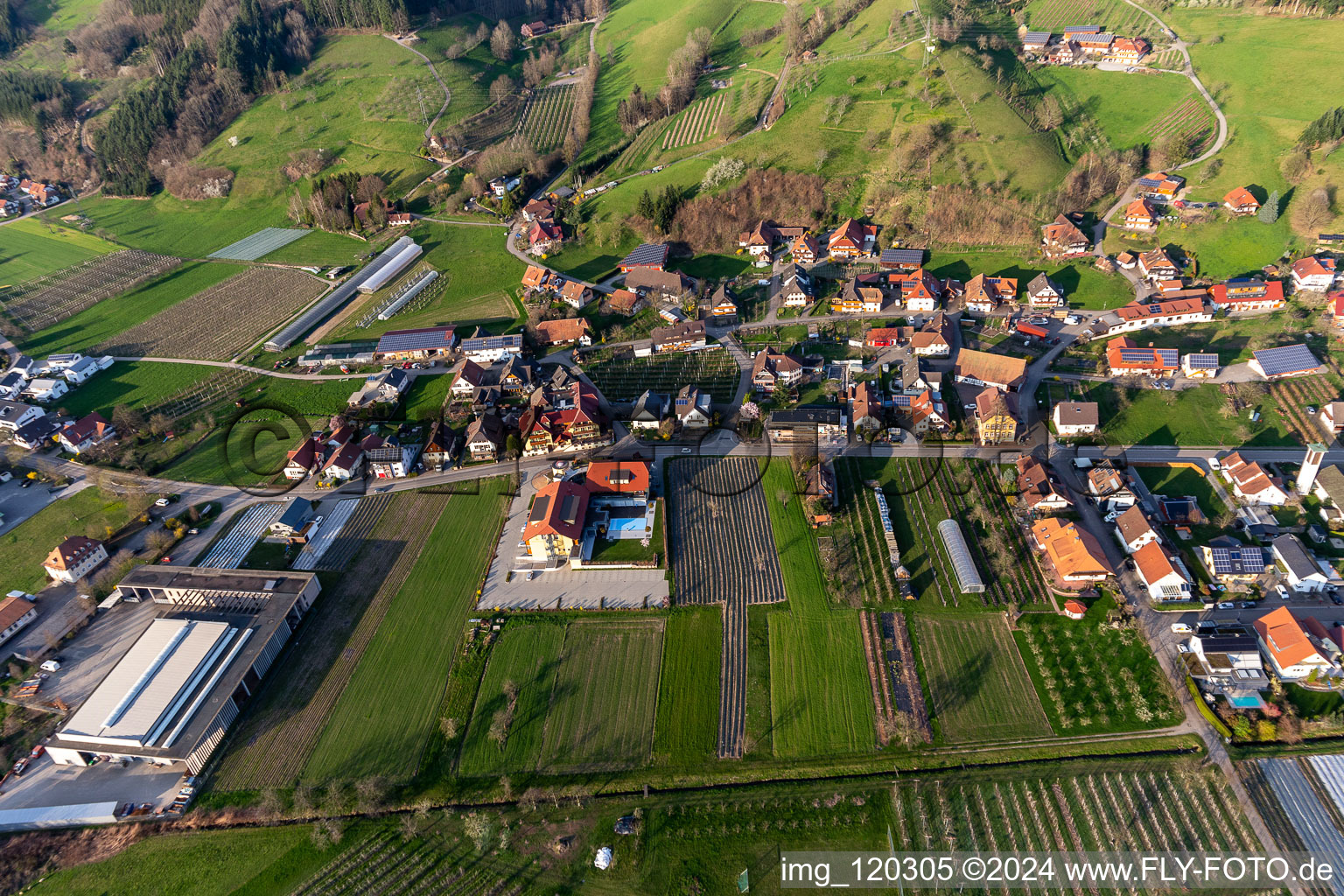 Photographie aérienne de Hôtel Gasthaus Mosers Blume à le quartier Bollenbach in Haslach im Kinzigtal dans le département Bade-Wurtemberg, Allemagne