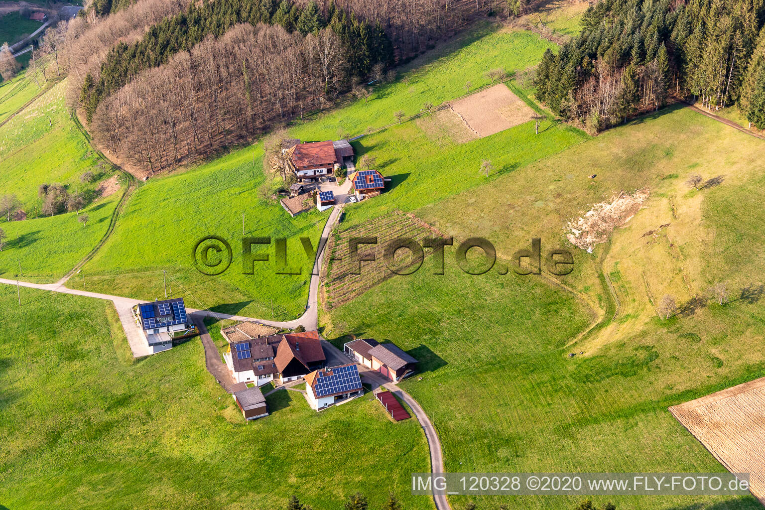 Haslach im Kinzigtal dans le département Bade-Wurtemberg, Allemagne depuis l'avion