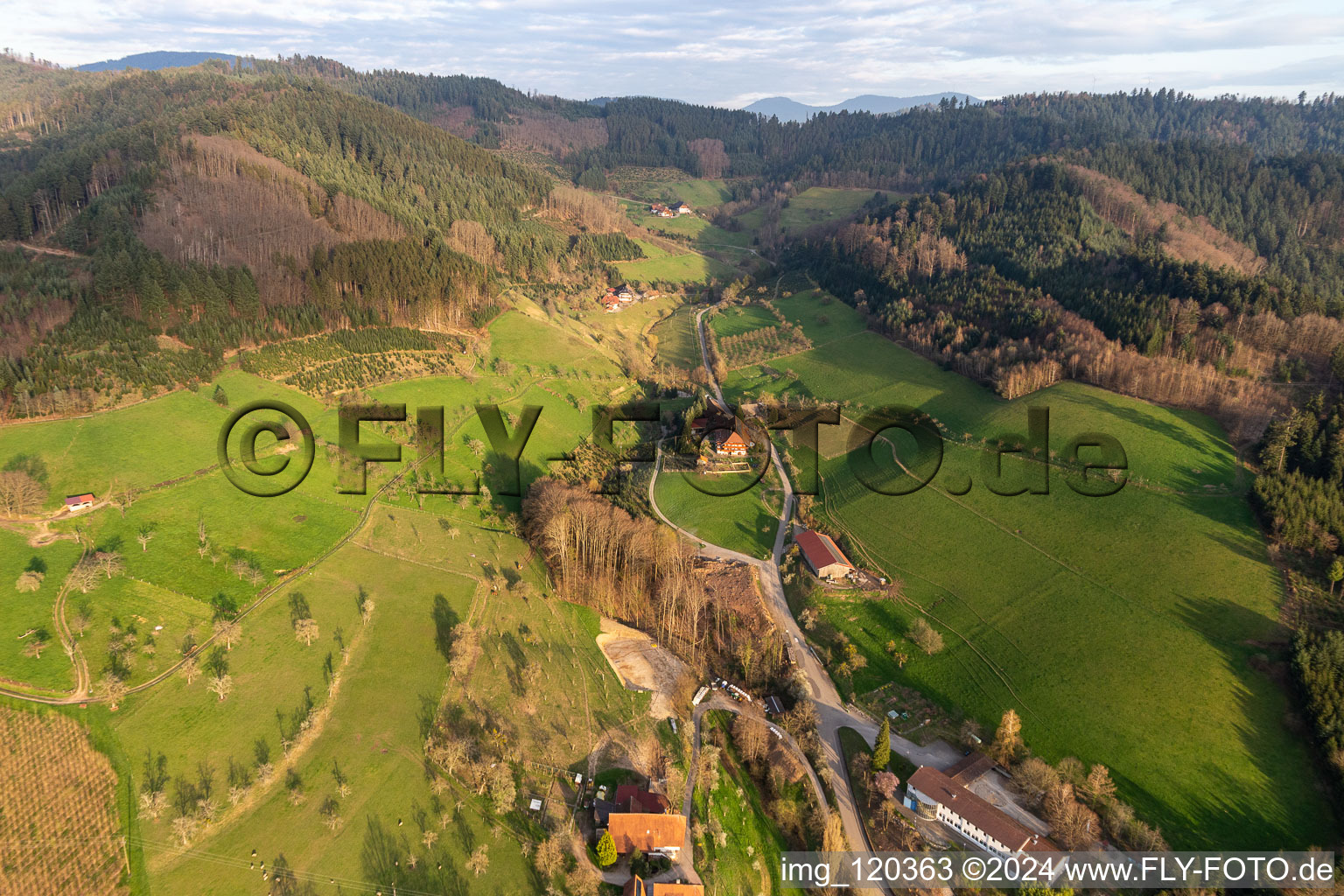 Vue aérienne de Quartier Schwaibach in Gengenbach dans le département Bade-Wurtemberg, Allemagne