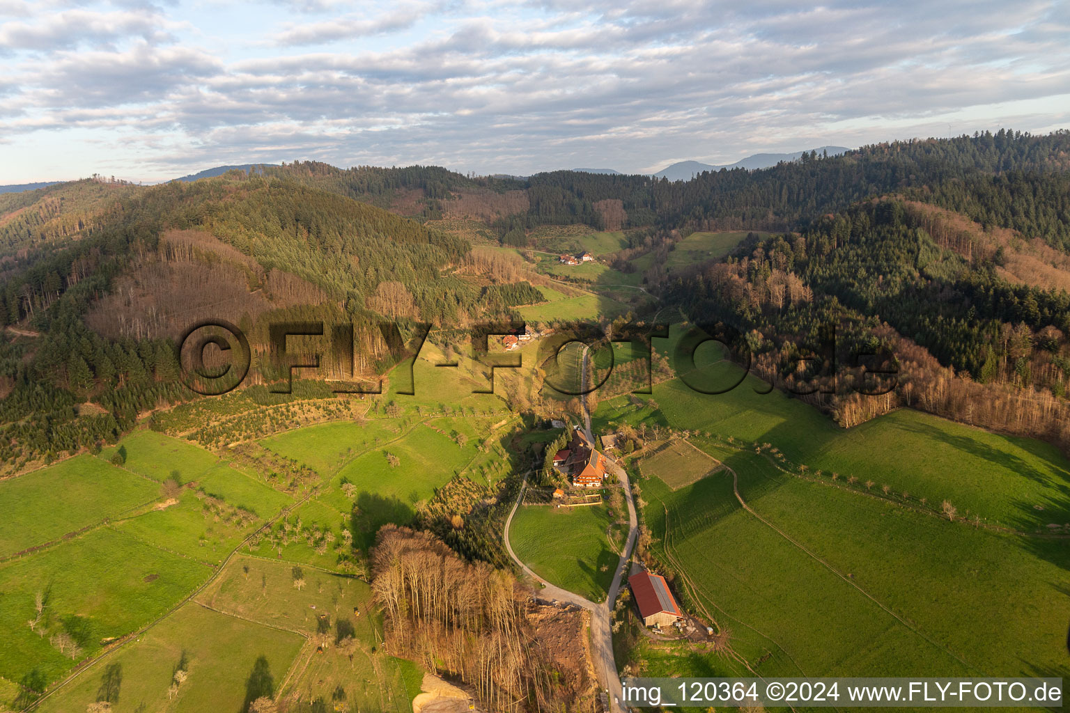 Photographie aérienne de Quartier Schwaibach in Gengenbach dans le département Bade-Wurtemberg, Allemagne