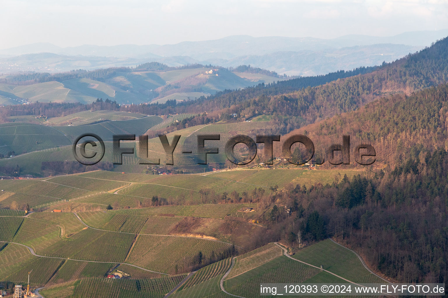 Vue aérienne de Ortenau Rebland à Ortenberg dans le département Bade-Wurtemberg, Allemagne