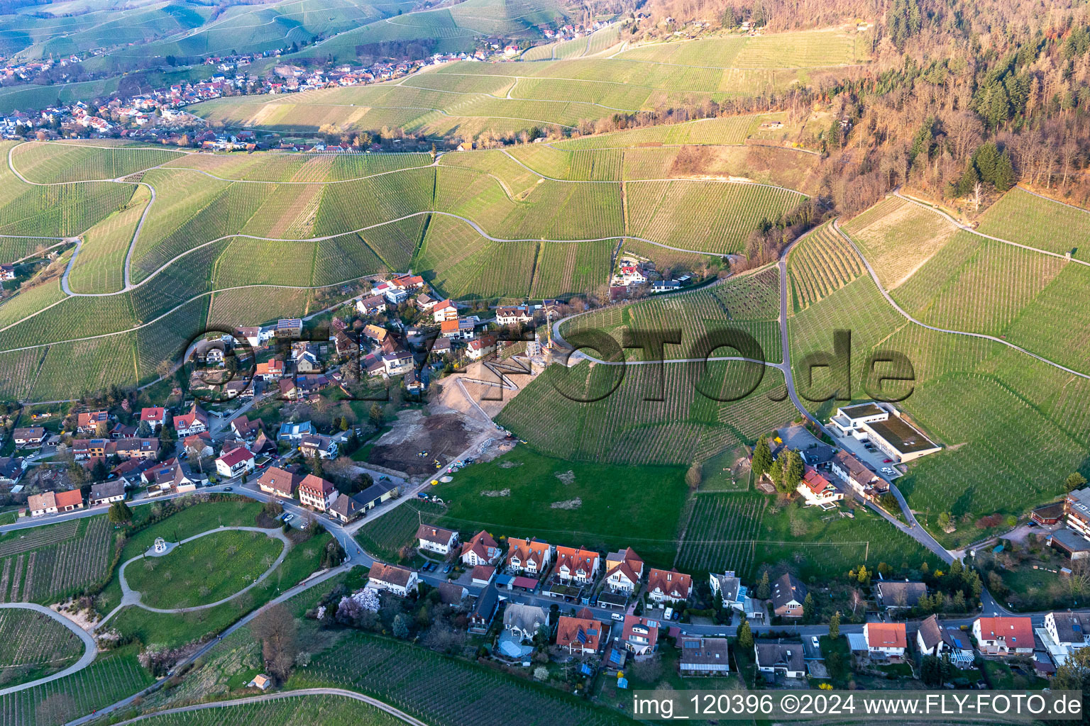 Vue aérienne de Parc Félix Burda à le quartier Käfersberg in Ortenberg dans le département Bade-Wurtemberg, Allemagne