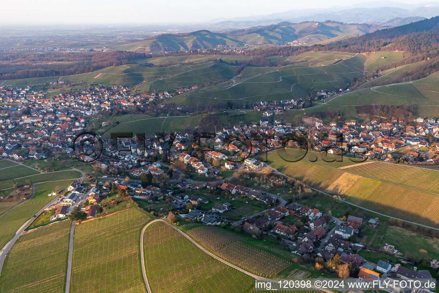 Vue aérienne de Vignobles et domaines vignerons à Fessenbach à le quartier Zell in Offenburg dans le département Bade-Wurtemberg, Allemagne