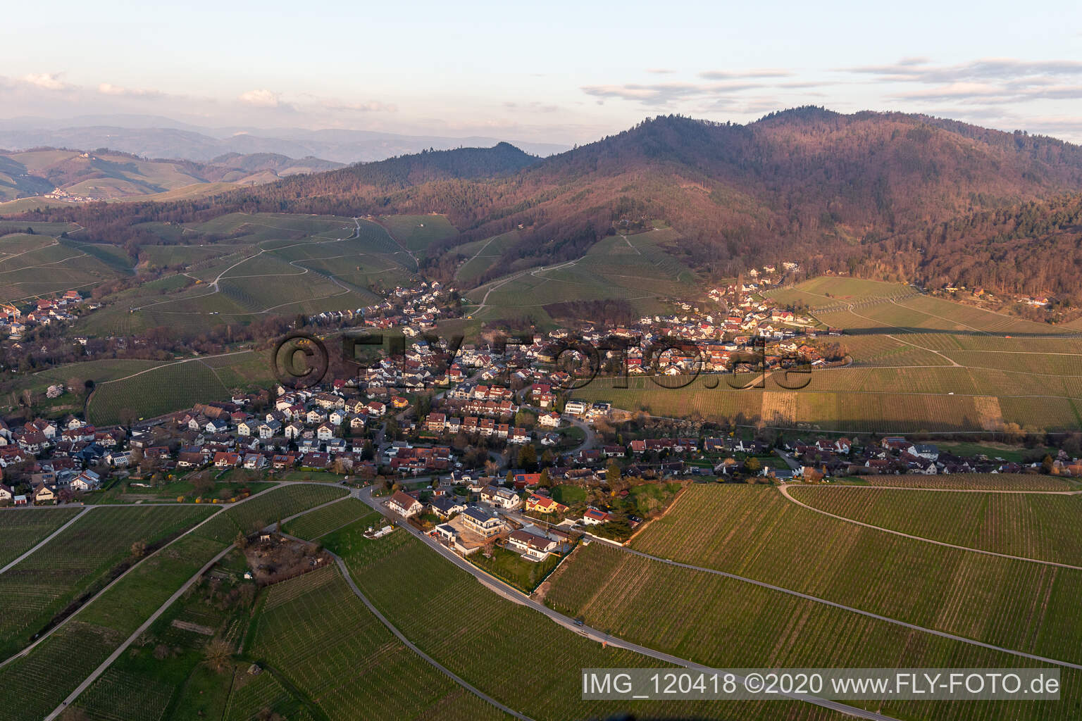Vue aérienne de Vignobles et domaines vignerons à Fessenbach à le quartier Zell in Offenburg dans le département Bade-Wurtemberg, Allemagne