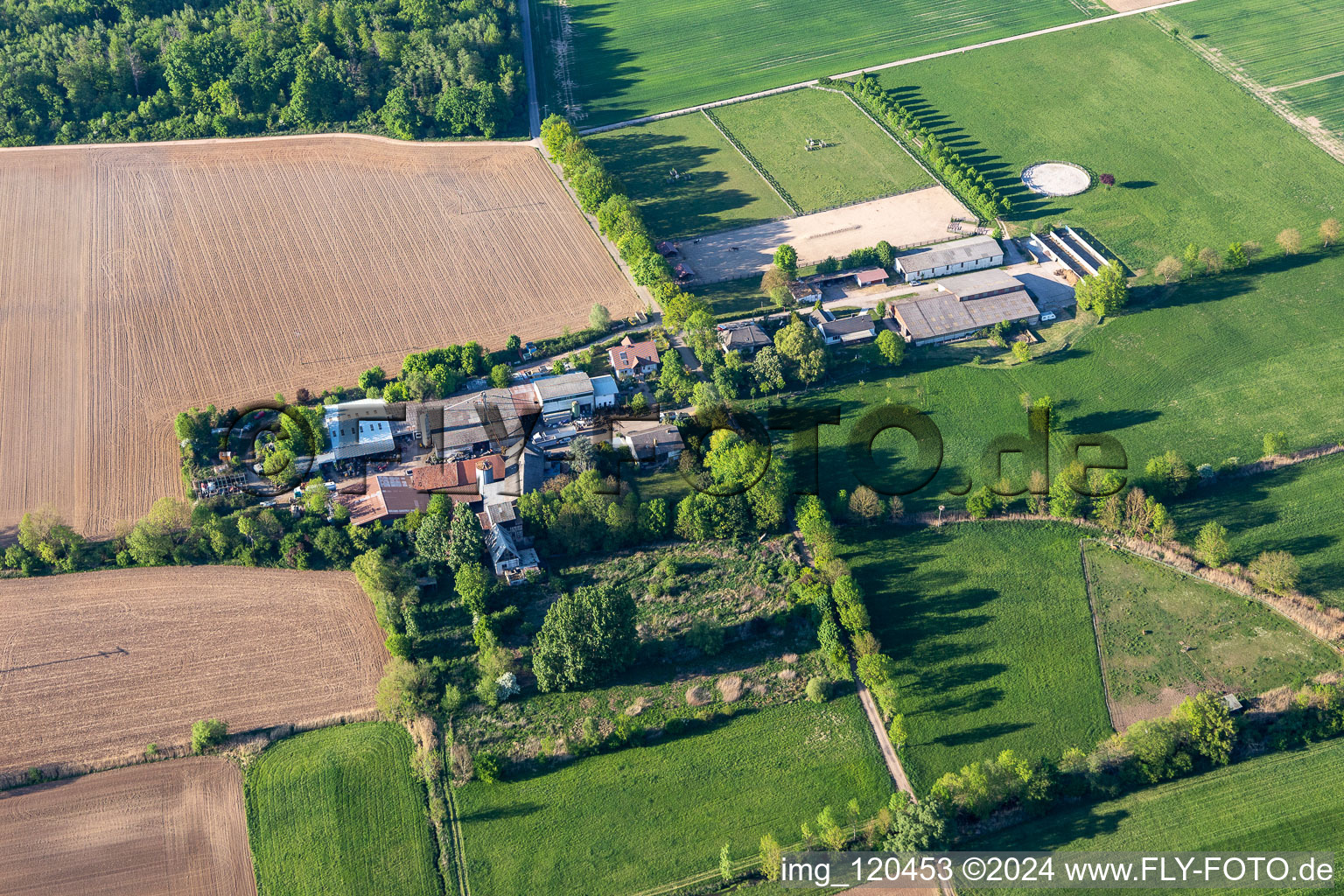 Vue aérienne de Ranch Palatin à Steinweiler dans le département Rhénanie-Palatinat, Allemagne