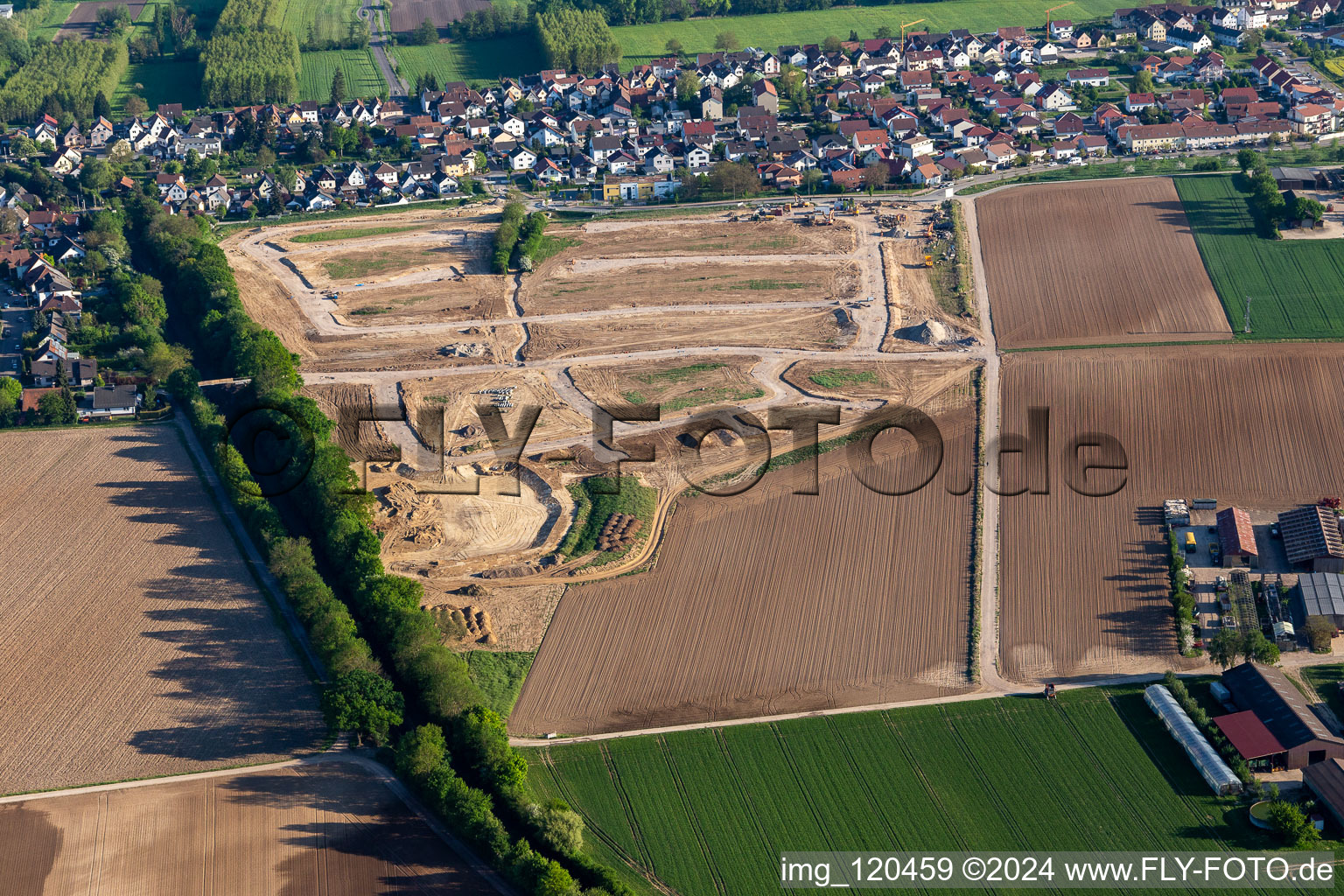 Vue aérienne de Développement de la zone constructible K2 Am Höhenweg à Kandel dans le département Rhénanie-Palatinat, Allemagne