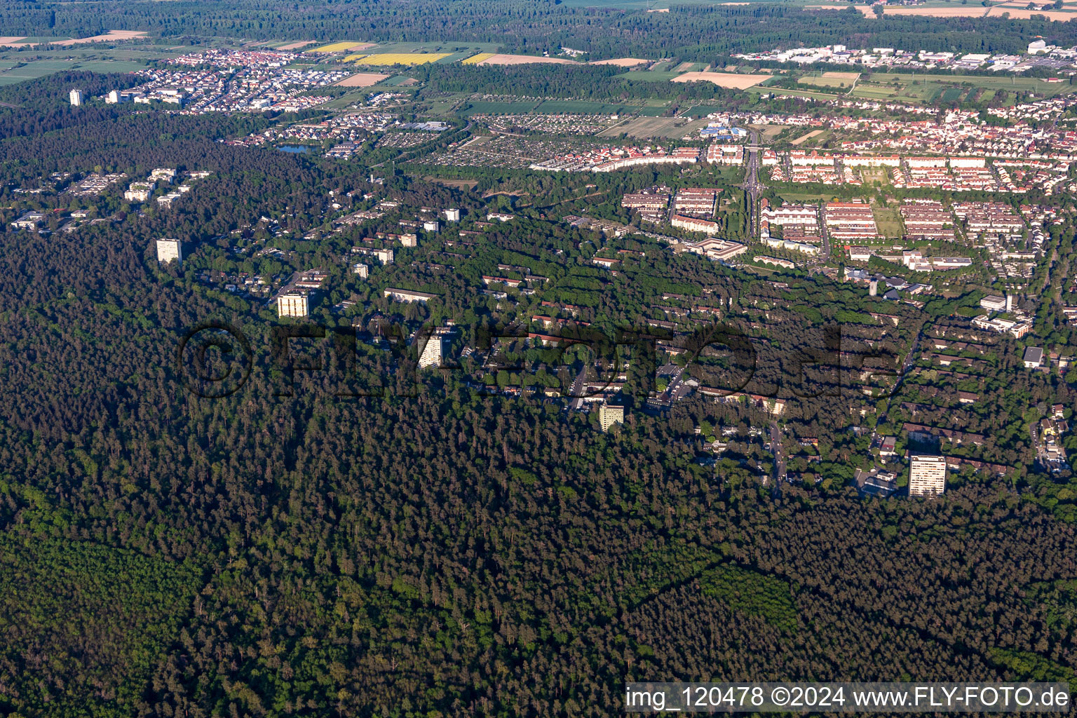 Vue oblique de Quartier Waldstadt in Karlsruhe dans le département Bade-Wurtemberg, Allemagne