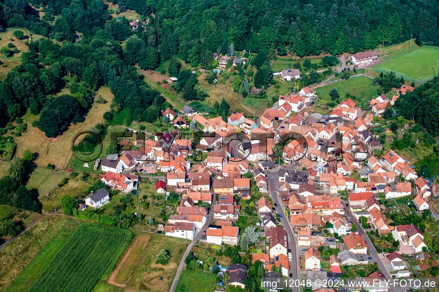 Vue aérienne de Vue sur le village à le quartier Gräfenhausen in Annweiler am Trifels dans le département Rhénanie-Palatinat, Allemagne