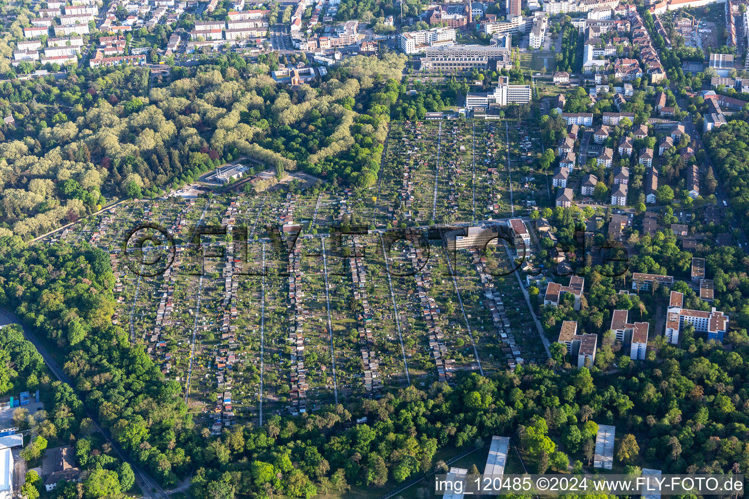 Vue aérienne de Association des jardins familiaux Hagsfelder Allee eV à le quartier Oststadt in Karlsruhe dans le département Bade-Wurtemberg, Allemagne