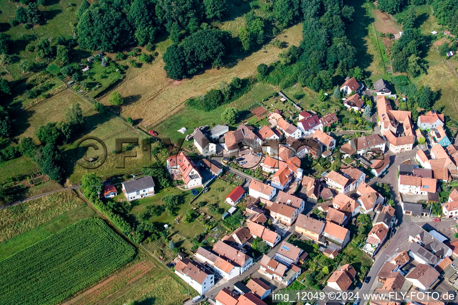 Quartier Gräfenhausen in Annweiler am Trifels dans le département Rhénanie-Palatinat, Allemagne vue du ciel