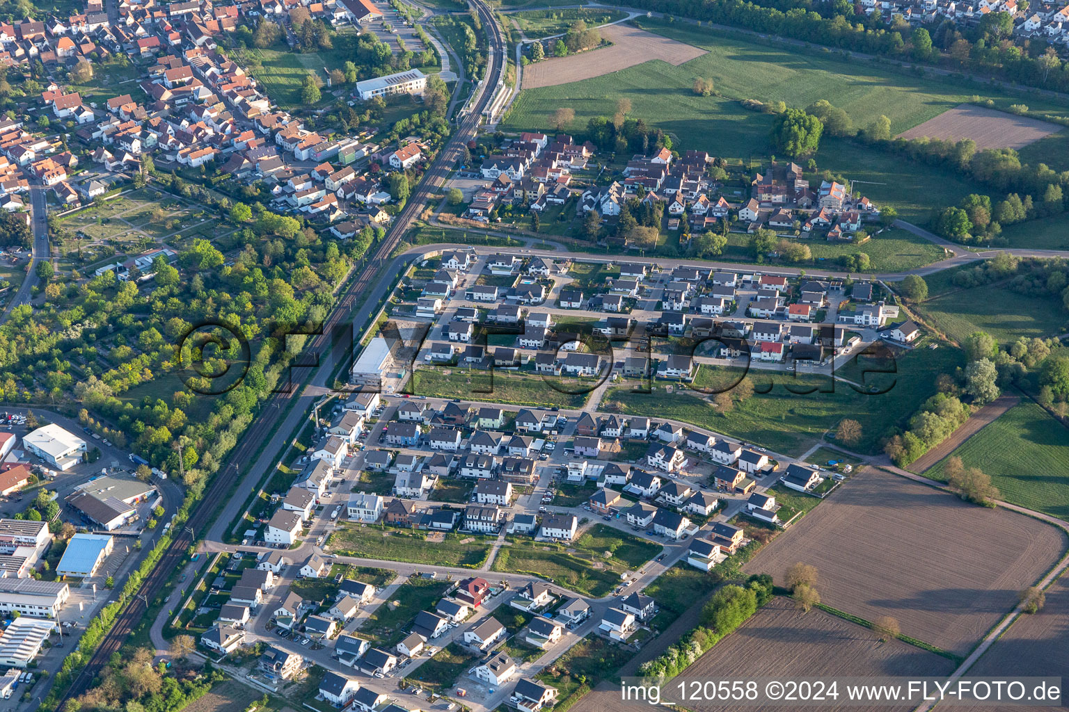 Vue aérienne de Nouvelle zone de développement Paul-Klee-Ring à Wörth am Rhein dans le département Rhénanie-Palatinat, Allemagne