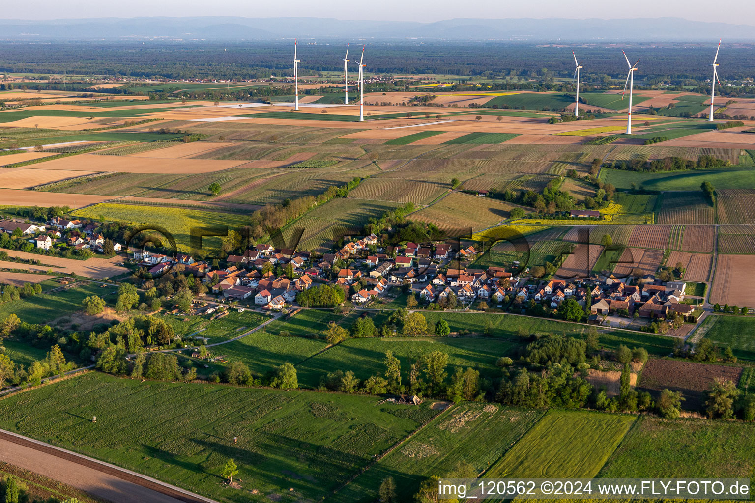 Hergersweiler dans le département Rhénanie-Palatinat, Allemagne d'en haut