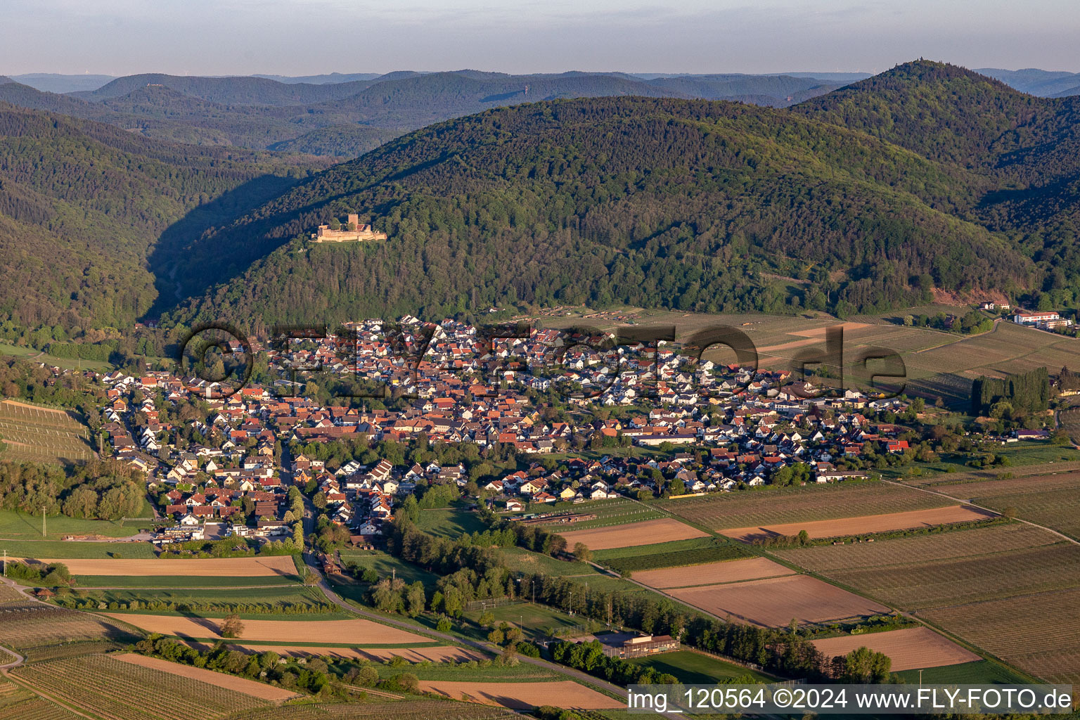 Vue aérienne de Château de Landeck à Klingenmünster dans le département Rhénanie-Palatinat, Allemagne