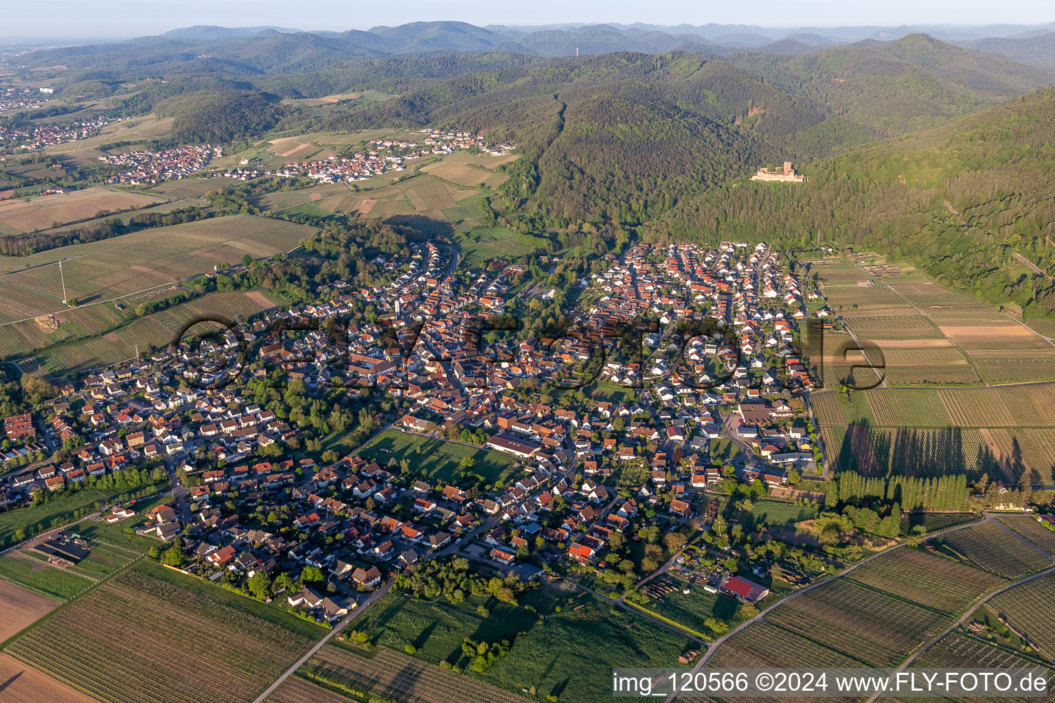 Vue aérienne de Château de Landeck à Klingenmünster dans le département Rhénanie-Palatinat, Allemagne