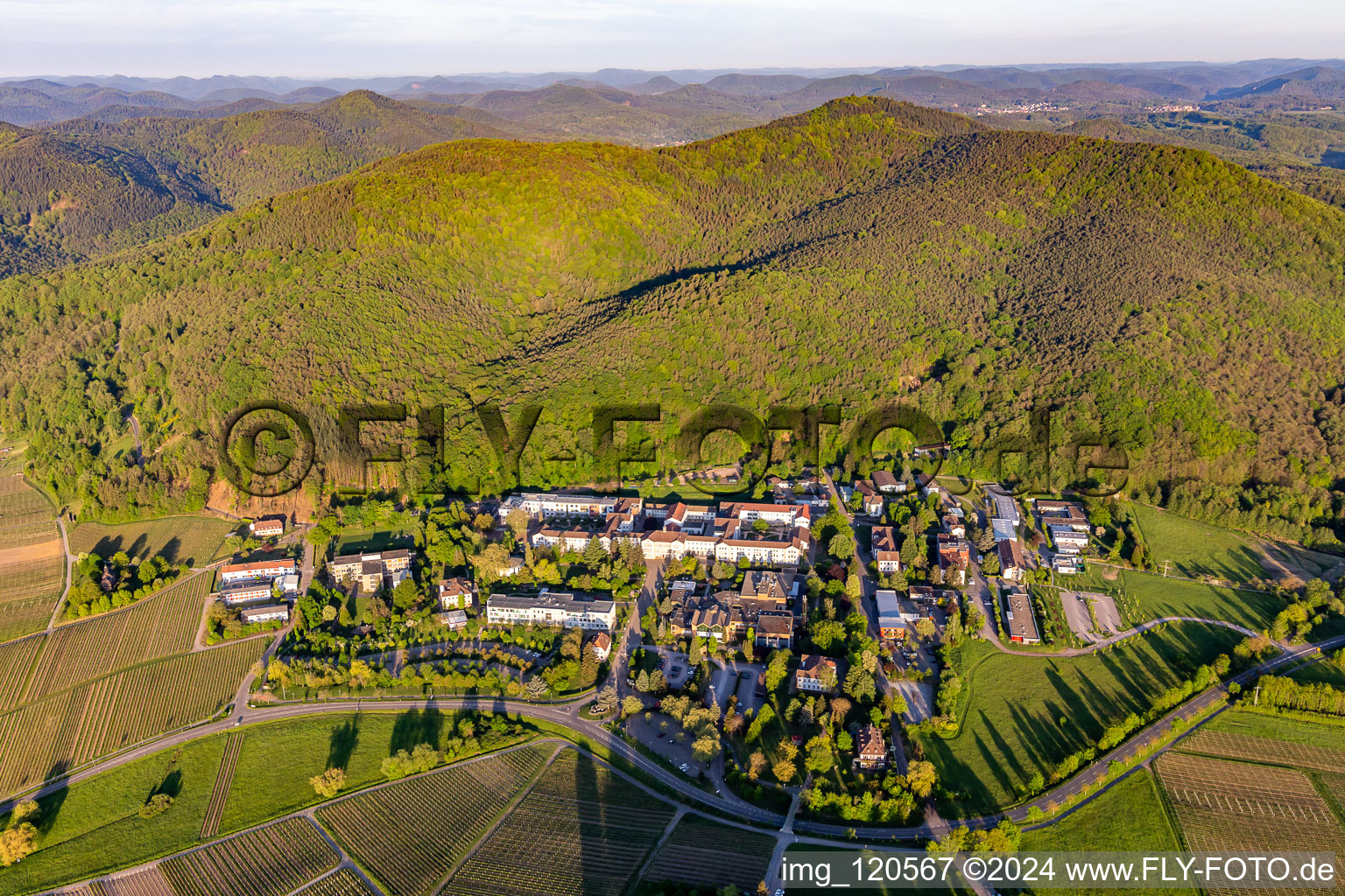 Photographie aérienne de Clinique du Palatinat Landeck à Klingenmünster dans le département Rhénanie-Palatinat, Allemagne