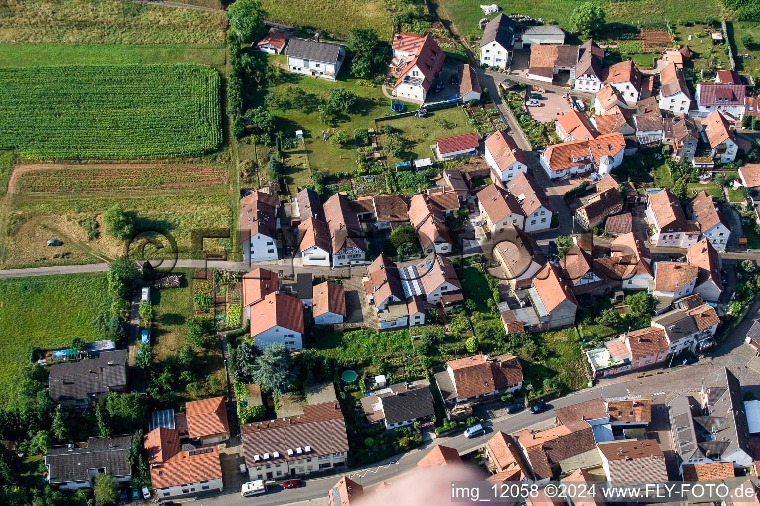 Quartier Gräfenhausen in Annweiler am Trifels dans le département Rhénanie-Palatinat, Allemagne vu d'un drone