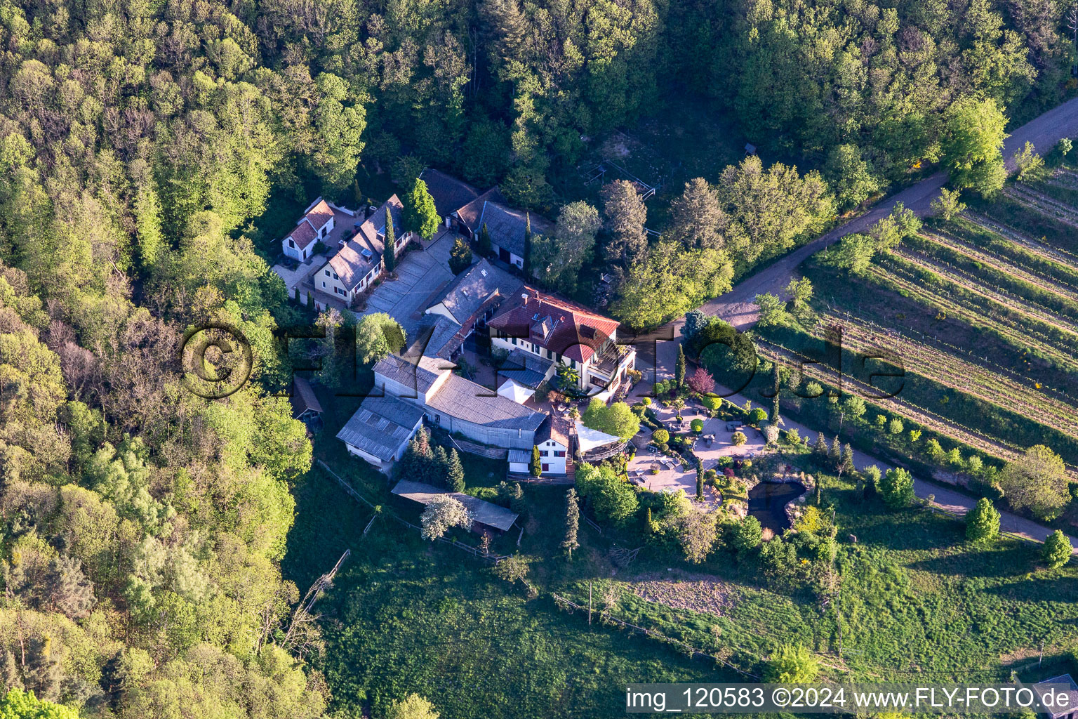 Vue aérienne de Bâtiment et manoir de la cave Sankt Annaberg à Burrweiler dans le département Rhénanie-Palatinat, Allemagne