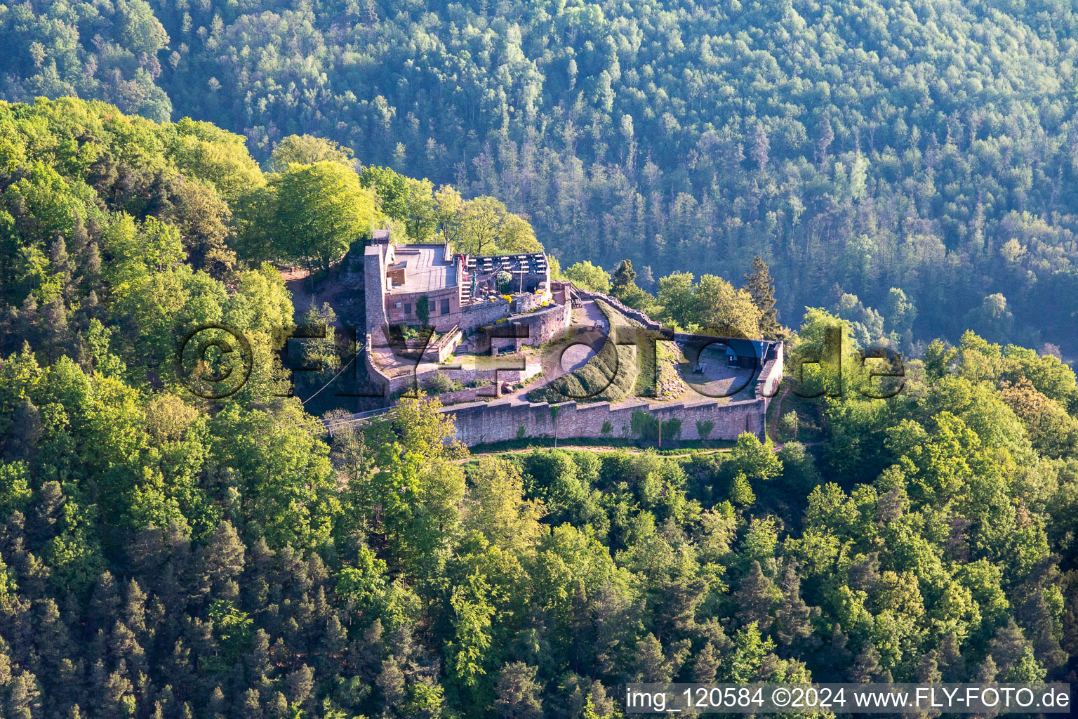 Enregistrement par drone de Rietbourg à Rhodt unter Rietburg dans le département Rhénanie-Palatinat, Allemagne