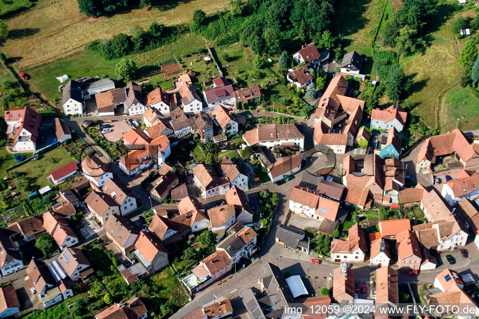 Vue aérienne de Quartier Gräfenhausen in Annweiler am Trifels dans le département Rhénanie-Palatinat, Allemagne