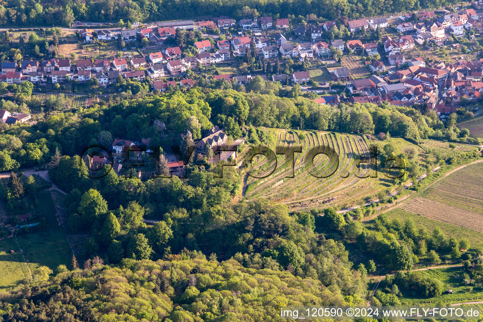 Vue aérienne de Château de Kropsbourg à Sankt Martin dans le département Rhénanie-Palatinat, Allemagne