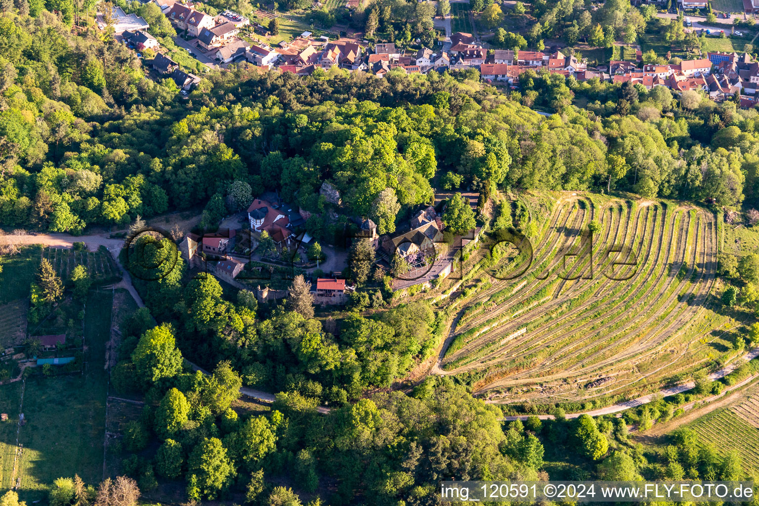 Photographie aérienne de Château de Kropsbourg à Sankt Martin dans le département Rhénanie-Palatinat, Allemagne