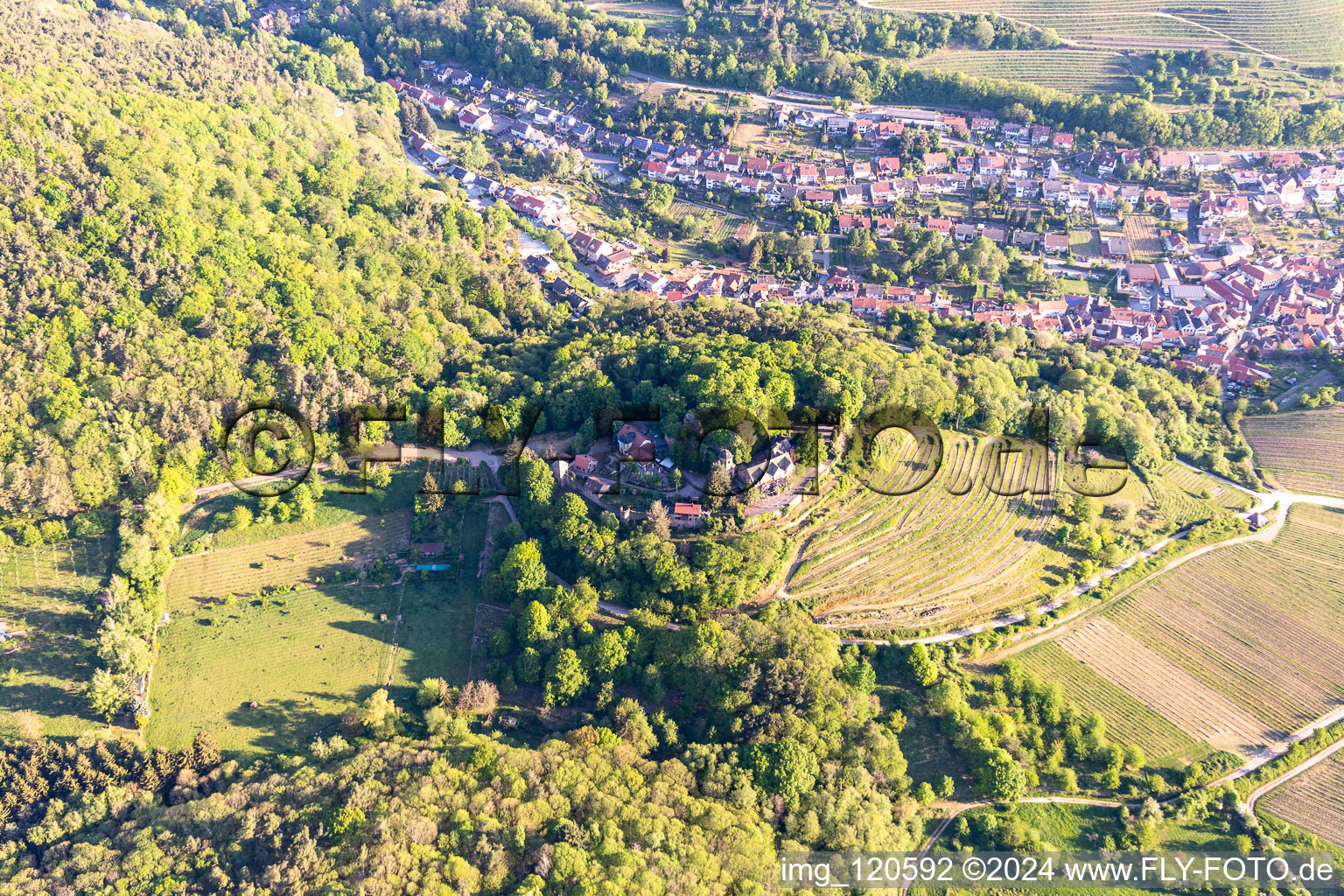 Vue oblique de Château de Kropsbourg à Sankt Martin dans le département Rhénanie-Palatinat, Allemagne