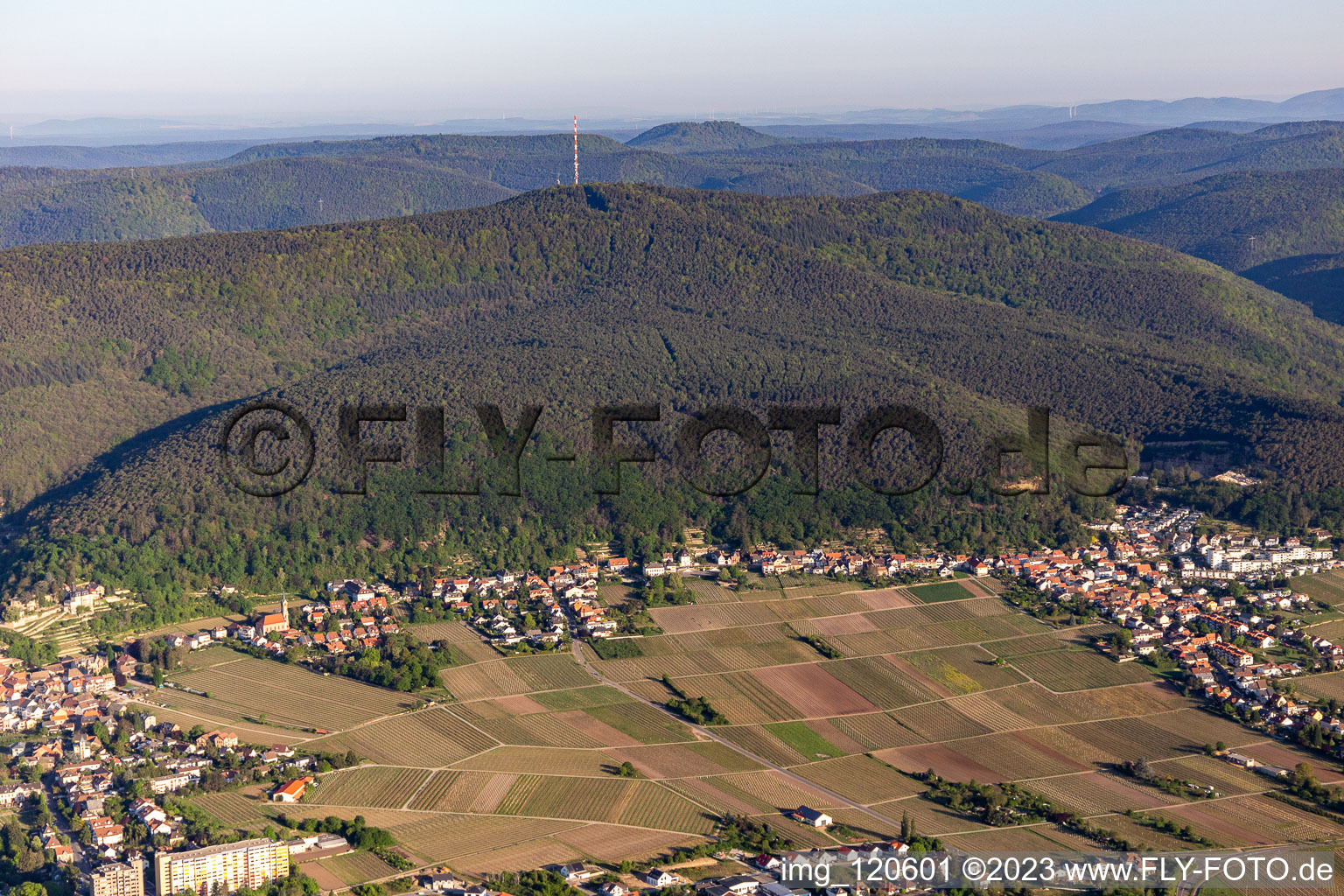 Vue aérienne de Au pied du Weinbiet à le quartier Haardt in Neustadt an der Weinstraße dans le département Rhénanie-Palatinat, Allemagne