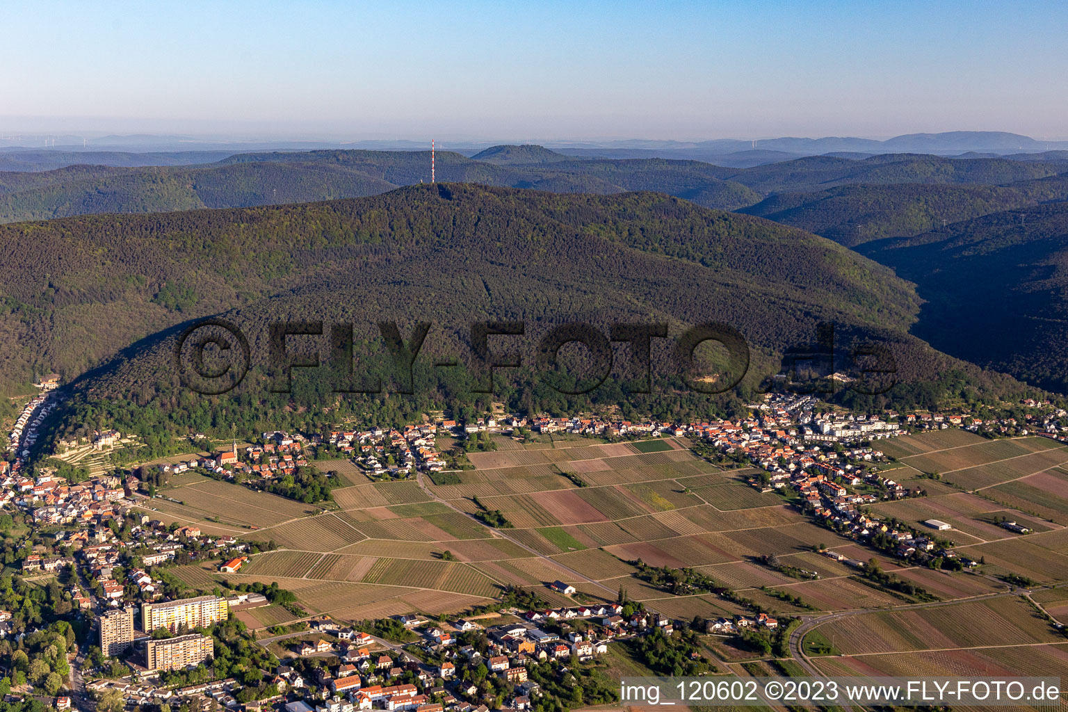 Vue aérienne de Au pied du Weinbiet à le quartier Haardt in Neustadt an der Weinstraße dans le département Rhénanie-Palatinat, Allemagne