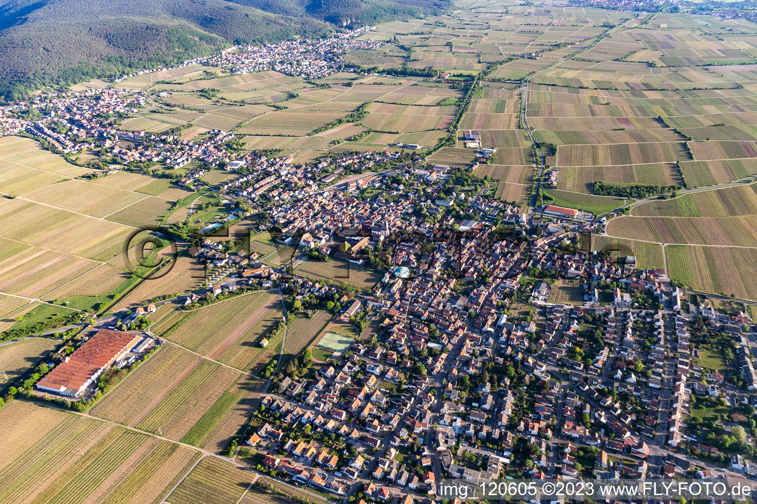 Quartier Mußbach in Neustadt an der Weinstraße dans le département Rhénanie-Palatinat, Allemagne hors des airs