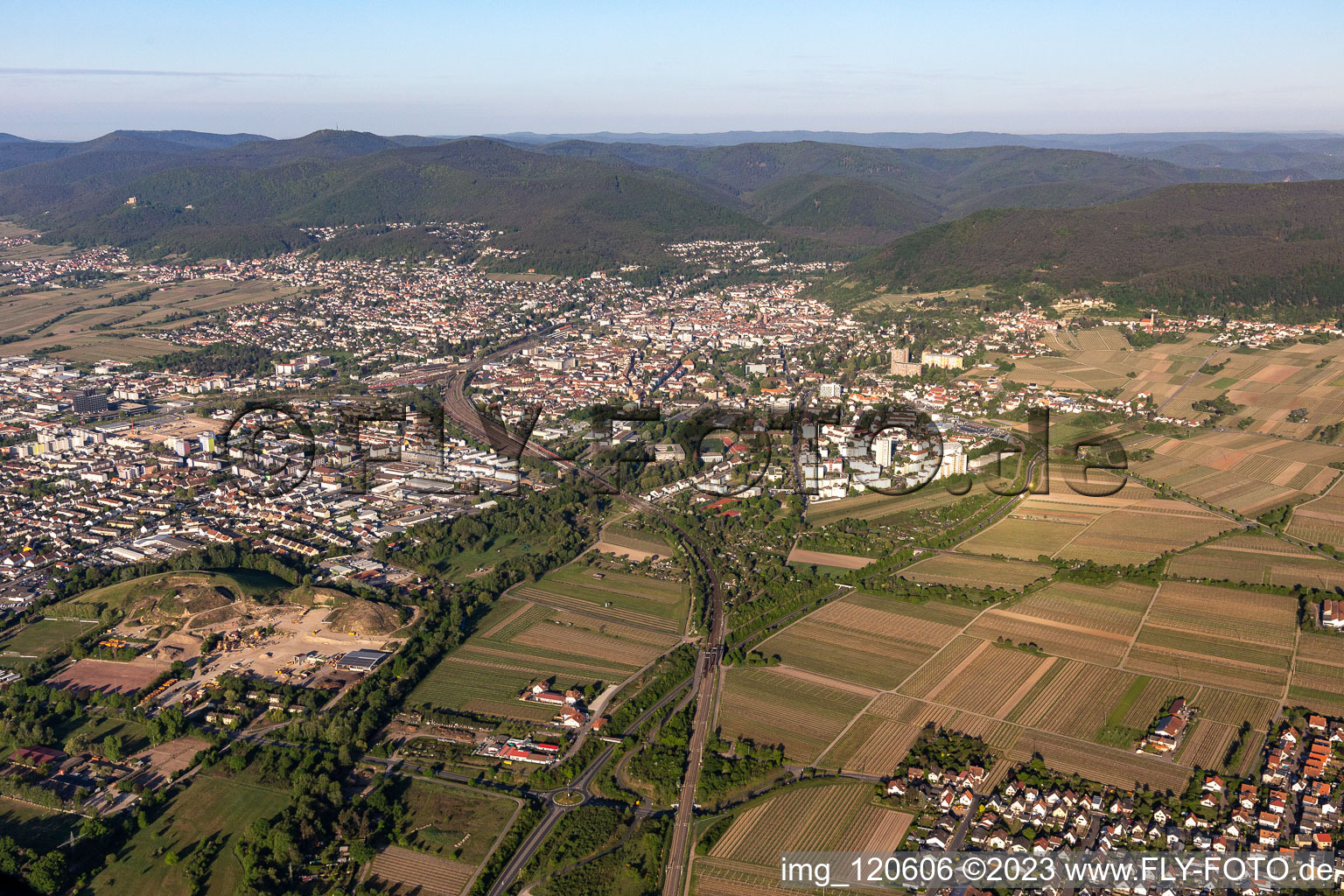 Neustadt an der Weinstraße dans le département Rhénanie-Palatinat, Allemagne du point de vue du drone