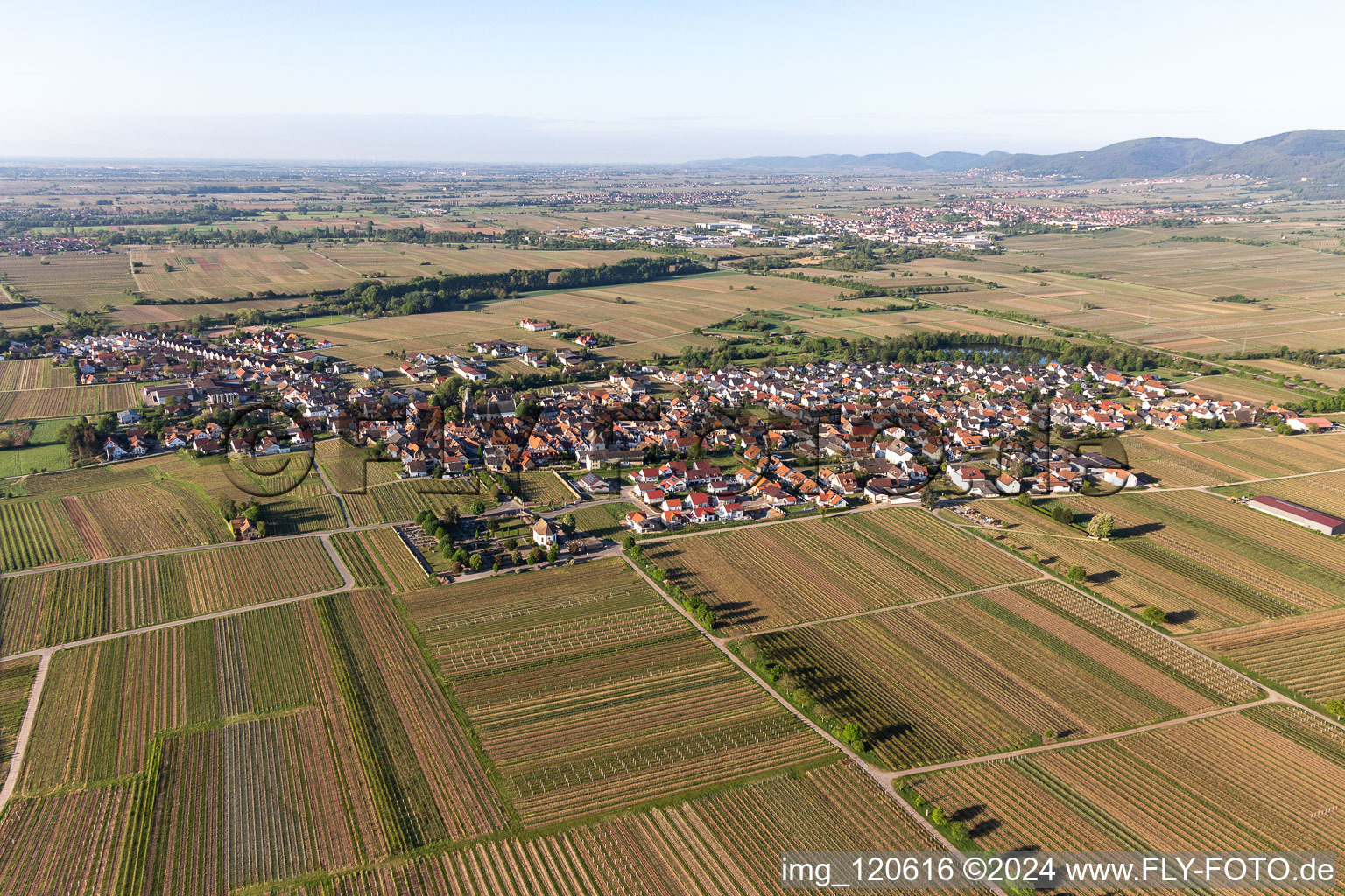 Kirrweiler dans le département Rhénanie-Palatinat, Allemagne vue du ciel