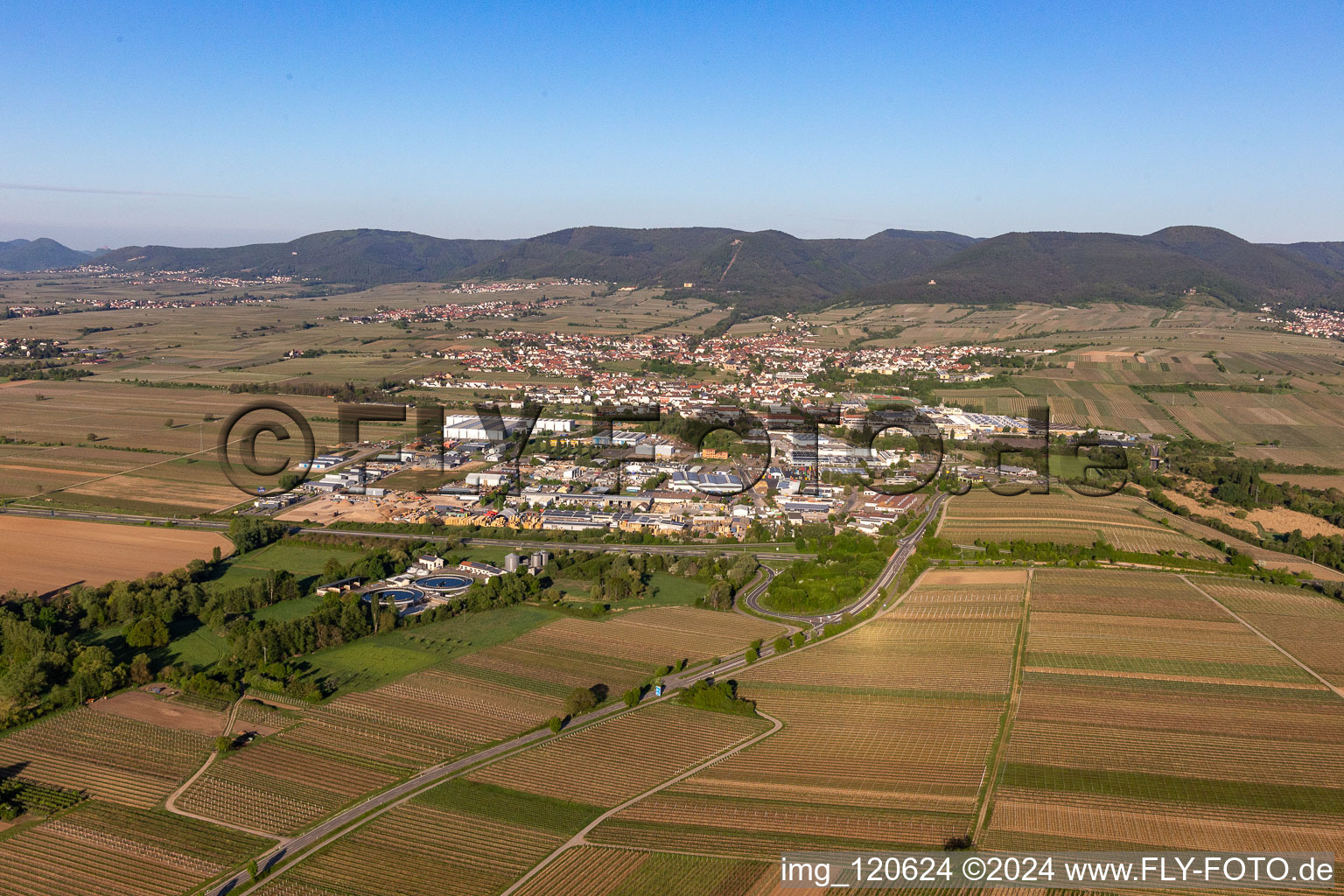 Vue aérienne de La plaine du Rhin entourée par le Haardtrand de la forêt du Palatinat à Edenkoben dans le département Rhénanie-Palatinat, Allemagne