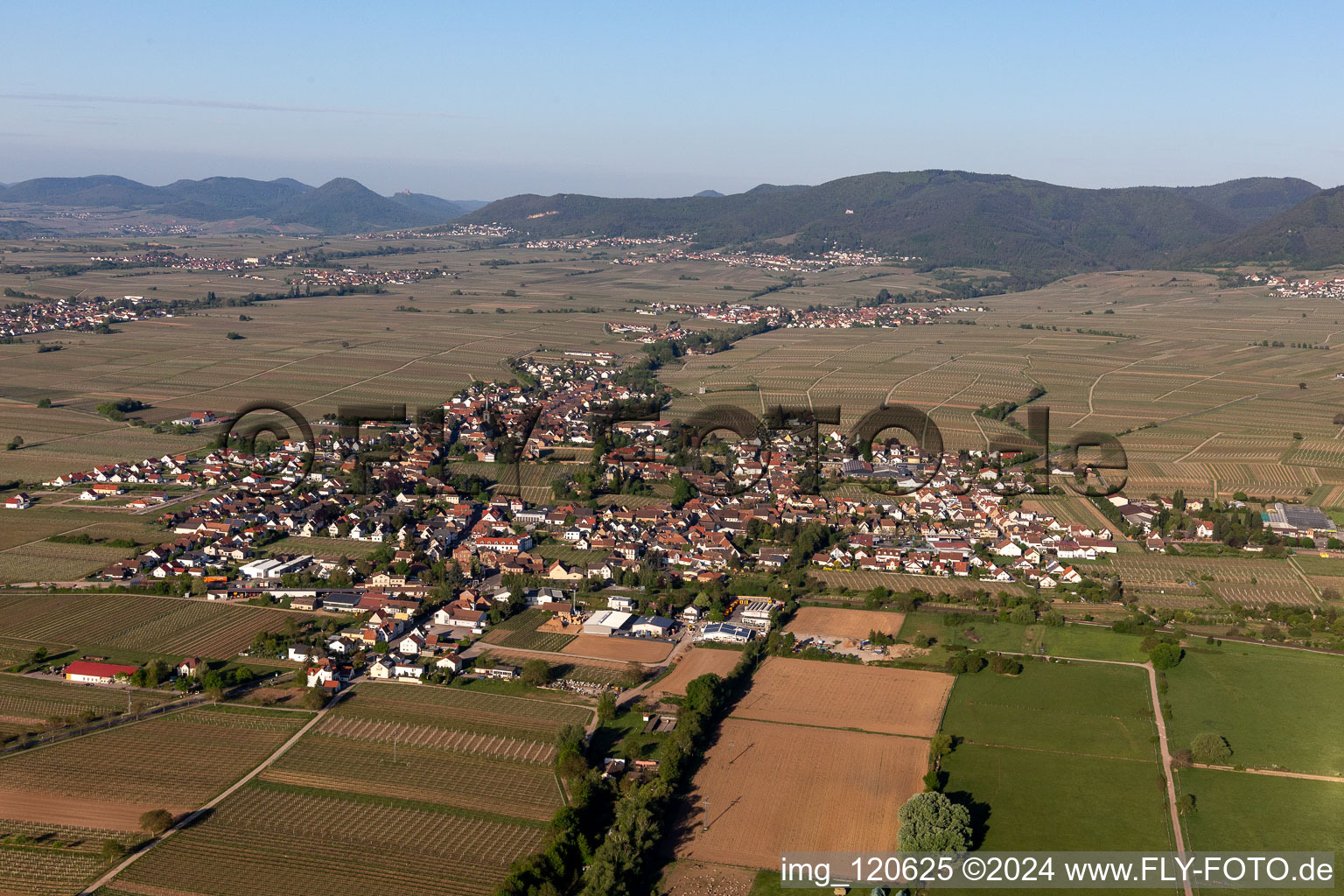 Vue aérienne de Vue des rues et des maisons des quartiers résidentiels à Edesheim dans le département Rhénanie-Palatinat, Allemagne