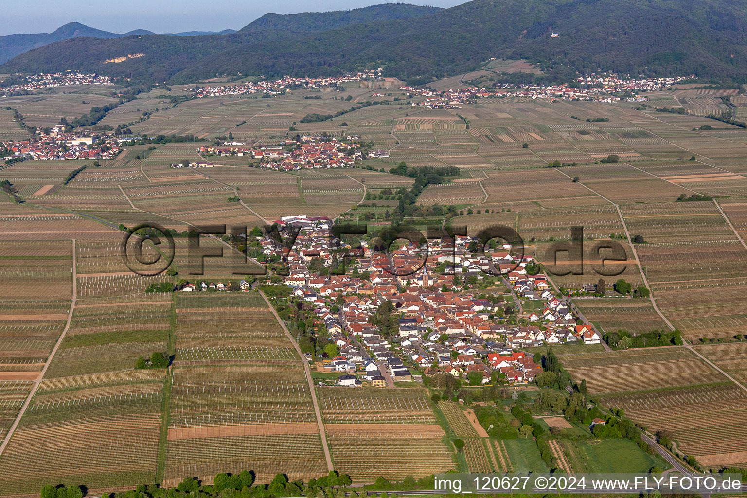 Vue aérienne de Champs agricoles et surfaces utilisables à Roschbach dans le département Rhénanie-Palatinat, Allemagne