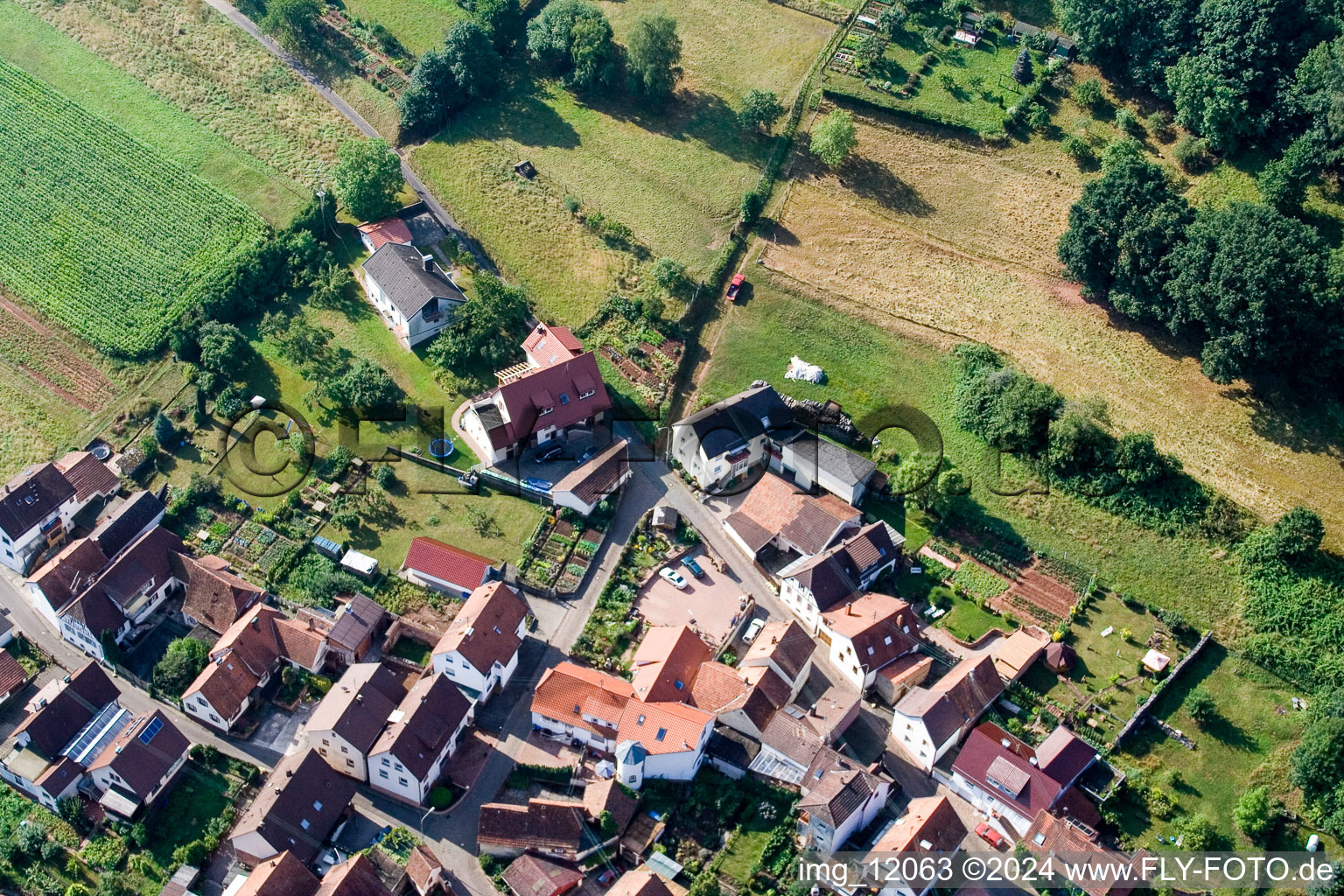 Photographie aérienne de Quartier Gräfenhausen in Annweiler am Trifels dans le département Rhénanie-Palatinat, Allemagne