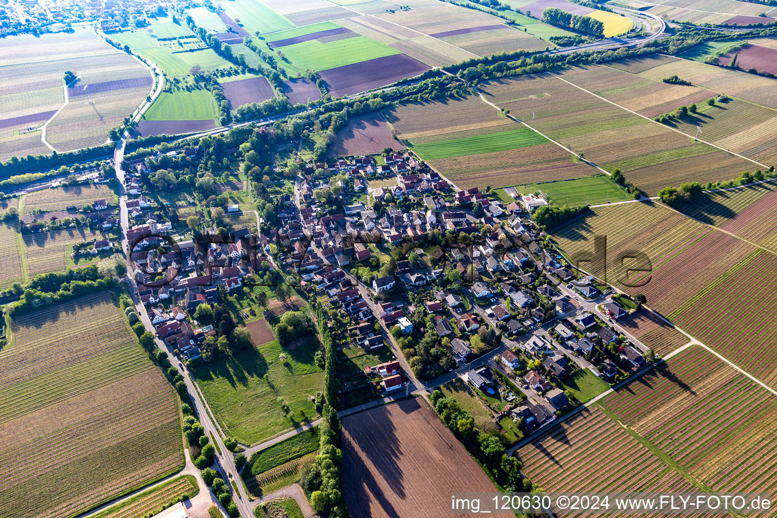 Image drone de Knöringen dans le département Rhénanie-Palatinat, Allemagne