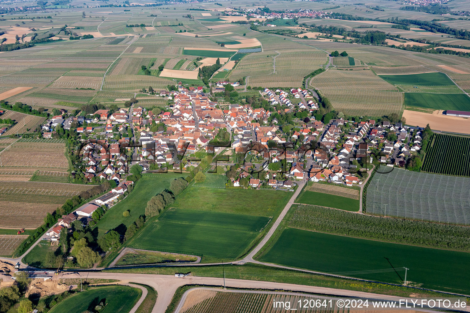 Photographie aérienne de Champs agricoles et surfaces utilisables à Impflingen dans le département Rhénanie-Palatinat, Allemagne