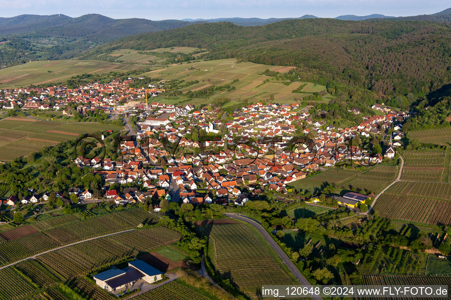 Photographie aérienne de Vignobles et forêt en Rechtenbach à le quartier Rechtenbach in Schweigen-Rechtenbach dans le département Rhénanie-Palatinat, Allemagne