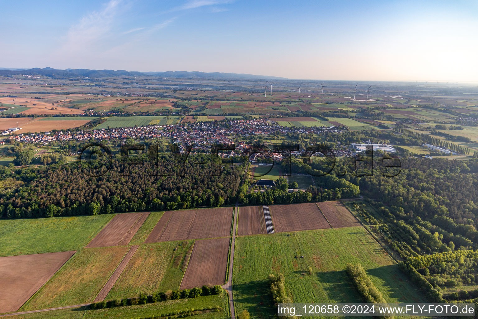 Vue aérienne de Quartier Schaidt in Wörth am Rhein dans le département Rhénanie-Palatinat, Allemagne