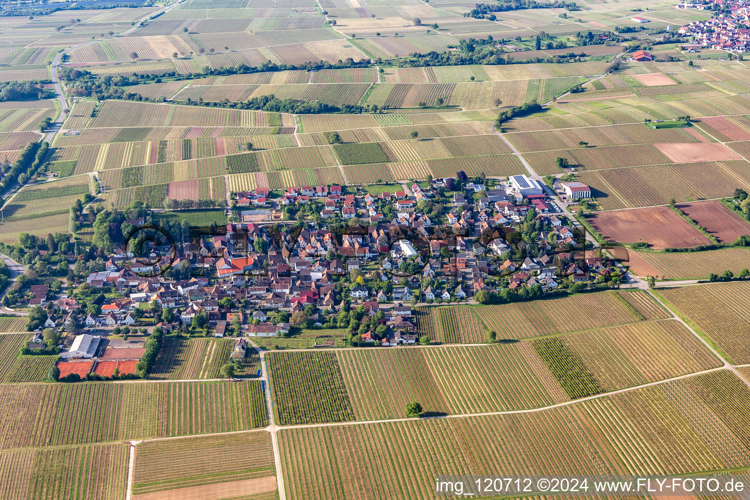 Vue aérienne de Walsheim dans le département Rhénanie-Palatinat, Allemagne