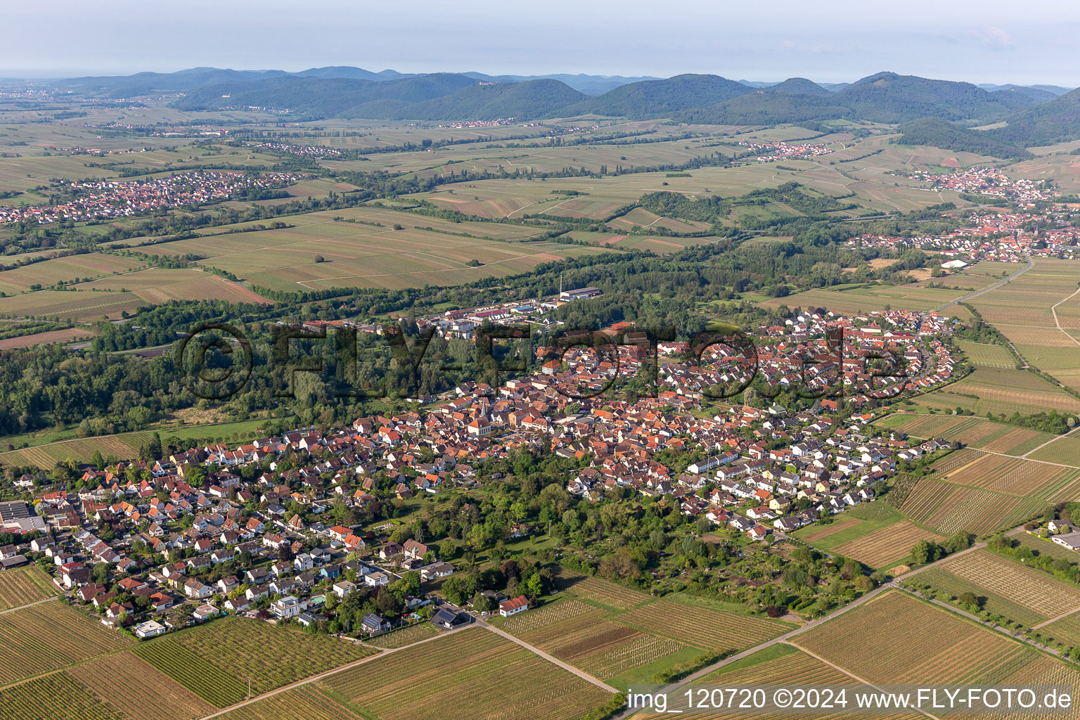 Photographie aérienne de Quartier Godramstein in Landau in der Pfalz dans le département Rhénanie-Palatinat, Allemagne