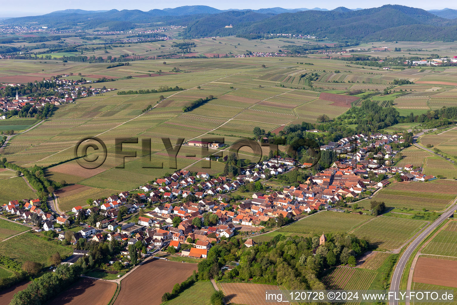 Vue d'oiseau de Quartier Wollmesheim in Landau in der Pfalz dans le département Rhénanie-Palatinat, Allemagne