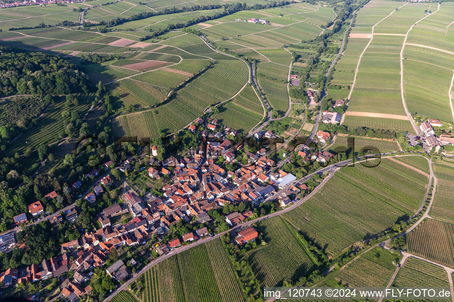 Photographie aérienne de Leinsweiler dans le département Rhénanie-Palatinat, Allemagne