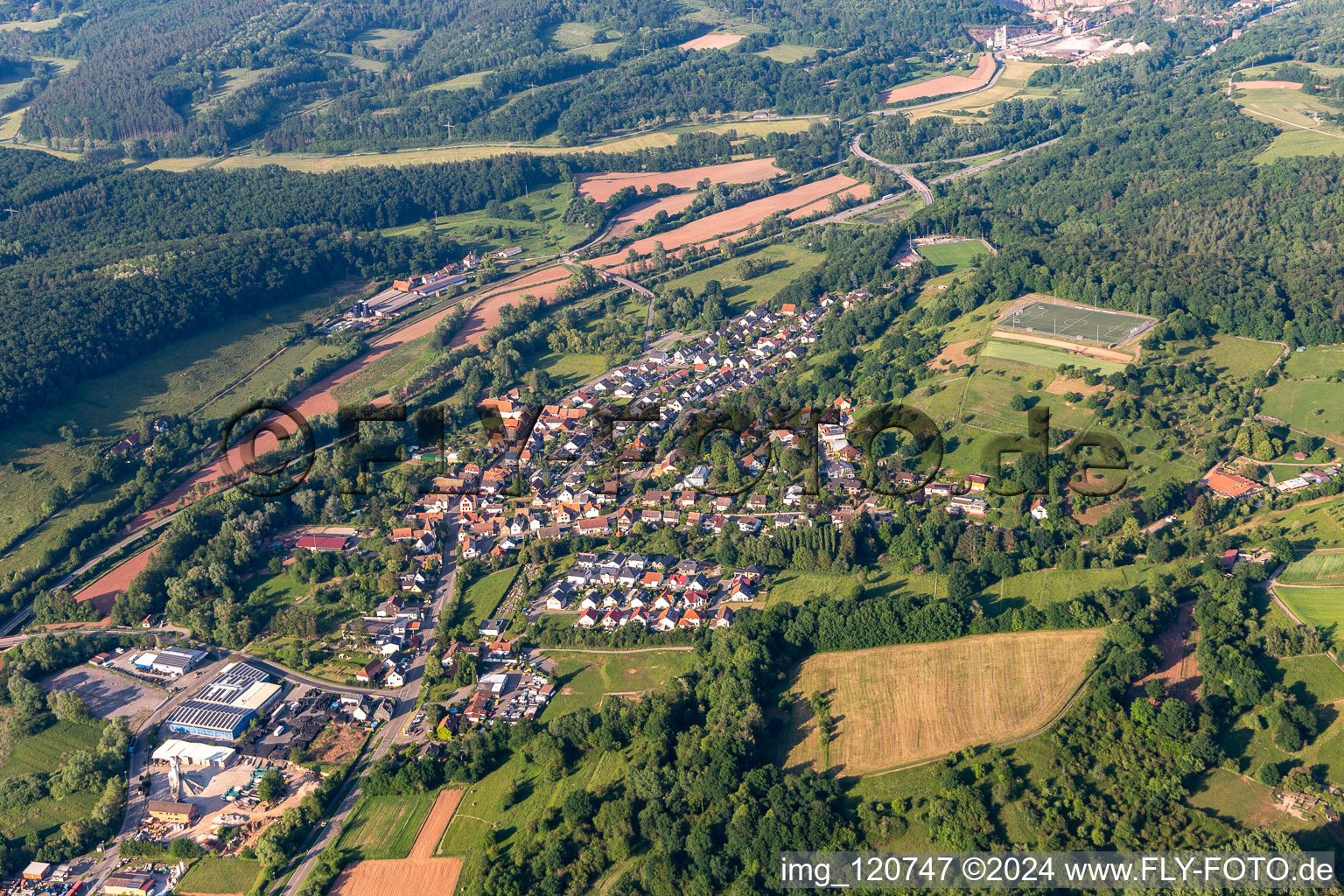 Photographie aérienne de Quartier Queichhambach in Annweiler am Trifels dans le département Rhénanie-Palatinat, Allemagne