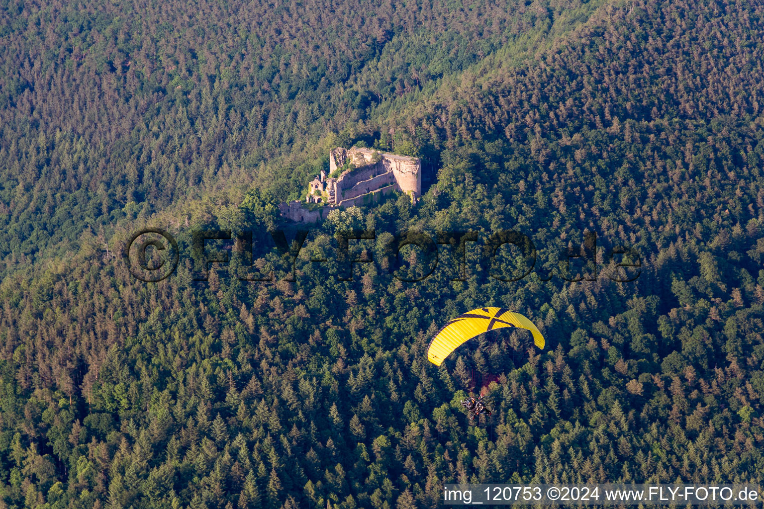 Ruines du château de Neuscharfeneck à Flemlingen dans le département Rhénanie-Palatinat, Allemagne d'en haut