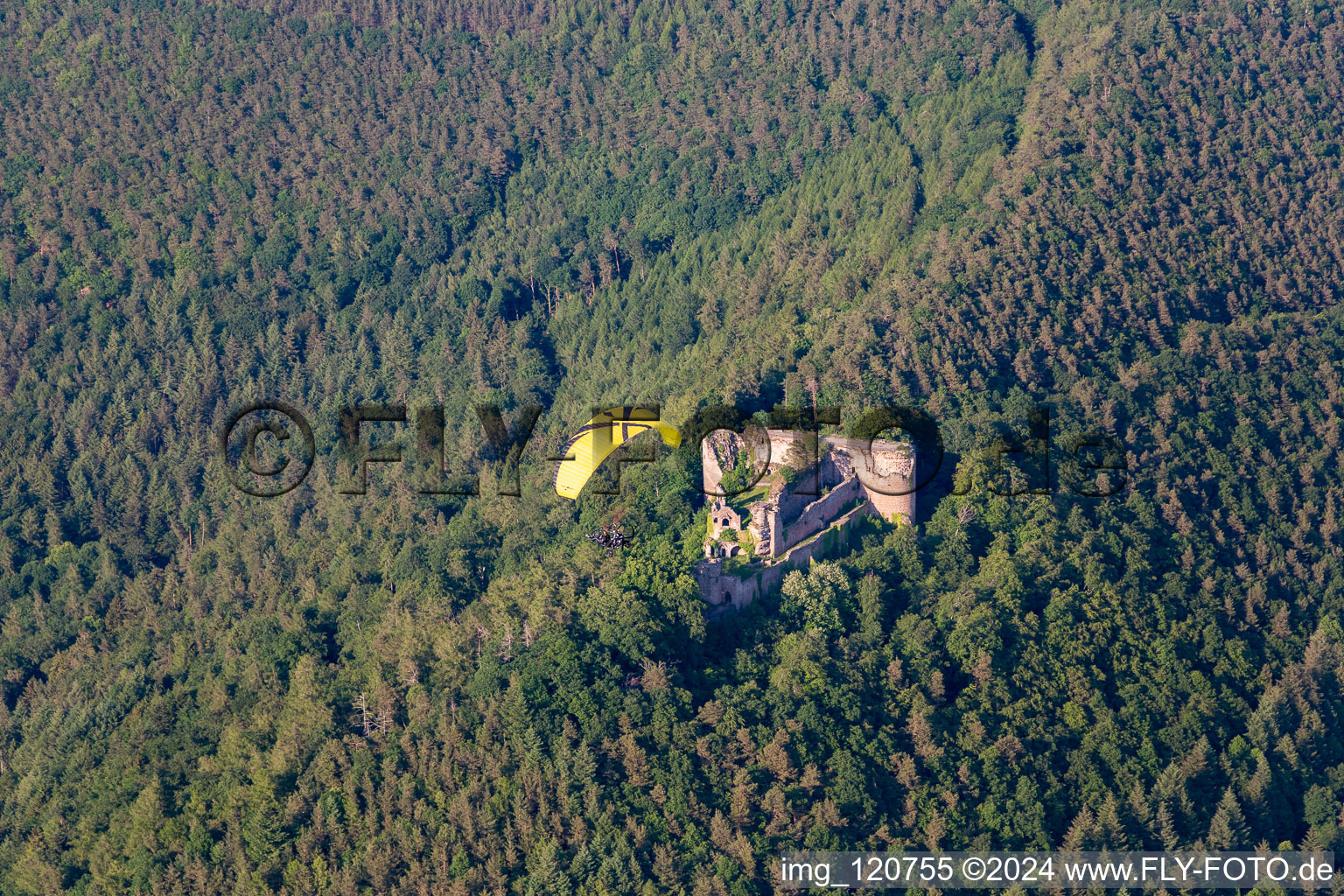 Ruines du château de Neuscharfeneck à Flemlingen dans le département Rhénanie-Palatinat, Allemagne hors des airs