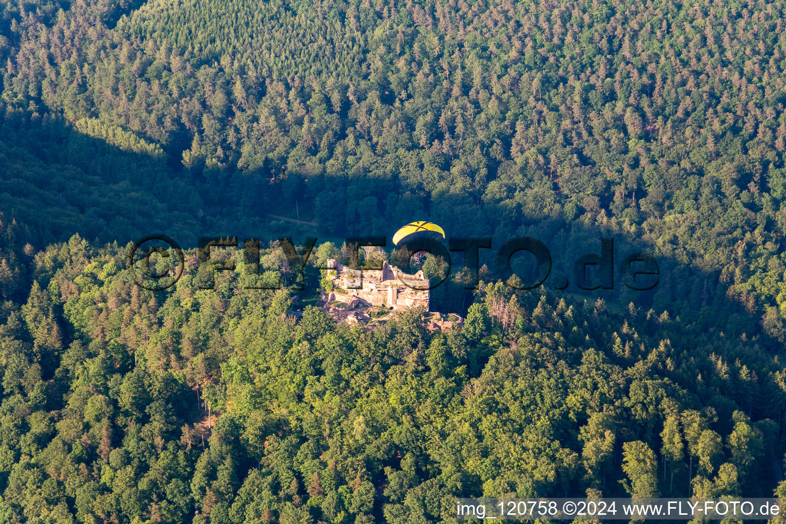 Photographie aérienne de Château du Maître des Ânes à Ramberg dans le département Rhénanie-Palatinat, Allemagne