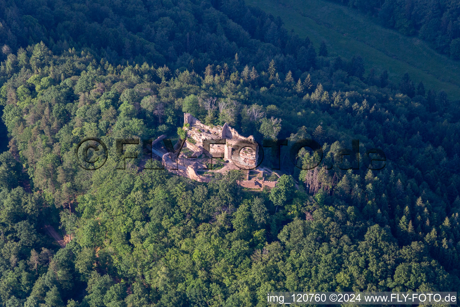 Photographie aérienne de Ruines et vestiges du mur de l'ancien château de Meistersel à Ramberg dans le département Rhénanie-Palatinat, Allemagne