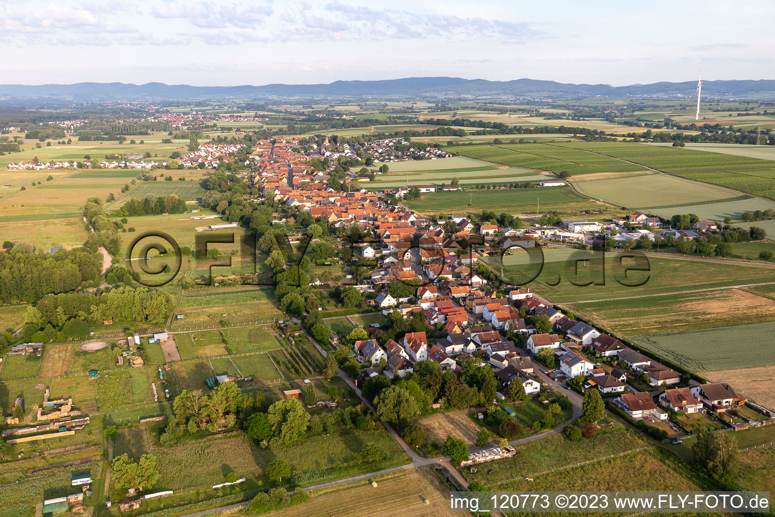 Vue aérienne de Champs agricoles et surfaces utilisables à Freckenfeld dans le département Rhénanie-Palatinat, Allemagne