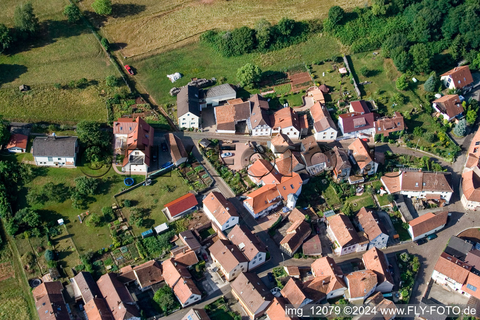 Photographie aérienne de Quartier Gräfenhausen in Annweiler am Trifels dans le département Rhénanie-Palatinat, Allemagne